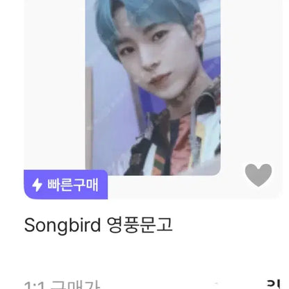 엔시티 포카