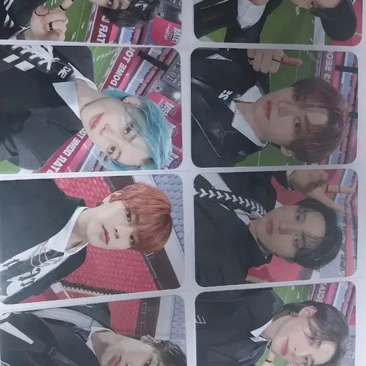 스키즈 5star 포카