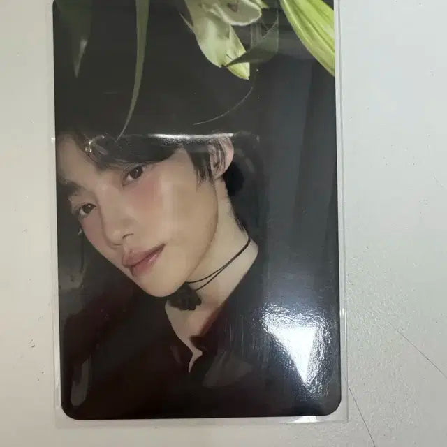 더보이즈 뉴 포토카드