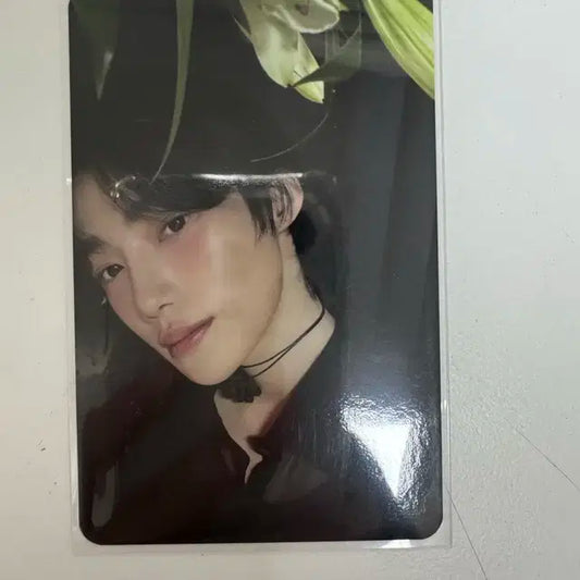더보이즈 뉴 포토카드