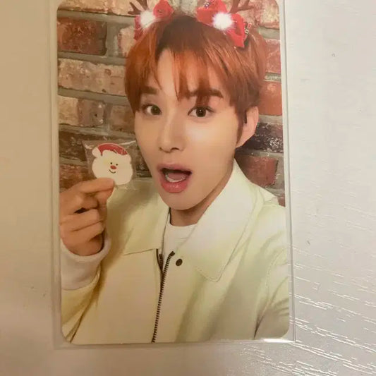핑크 크리스마스 정우 포카 팔아용
