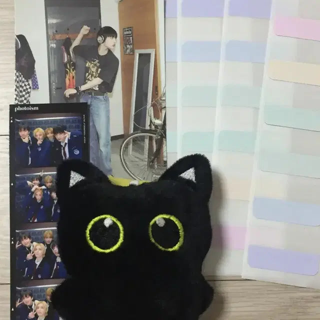 보넥도 굿즈 일괄 양도