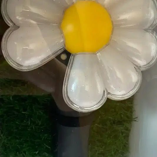 지디 데이지봉