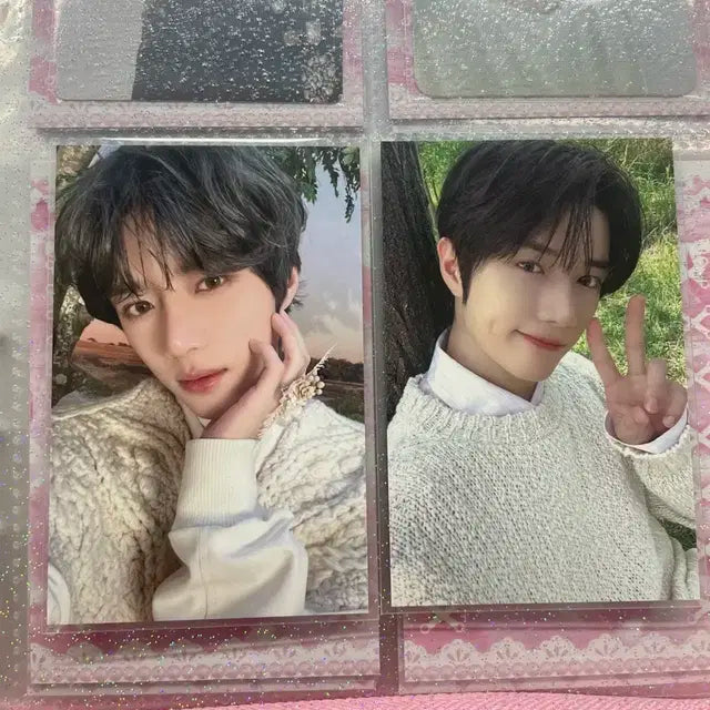 모아존 범규 양도해여