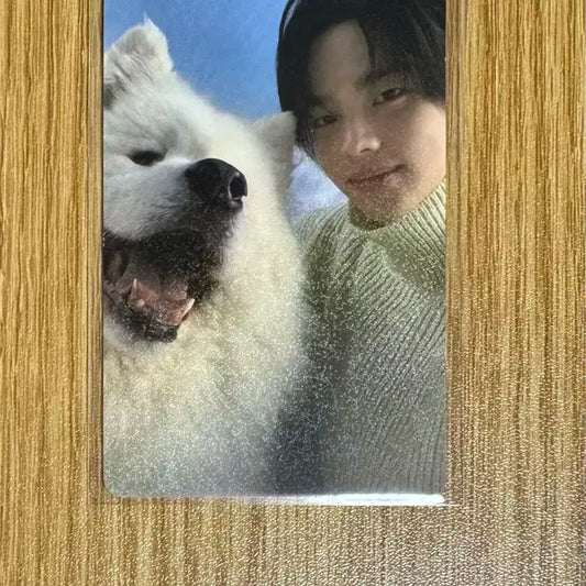 투어스 신유 미공포 위버스재팬 홀로그램 특전 포카