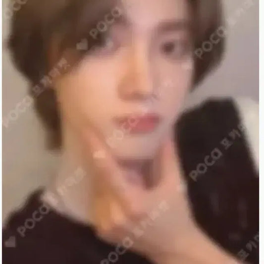 보넥도 성호 월마트 익스클루시브 특전 포카