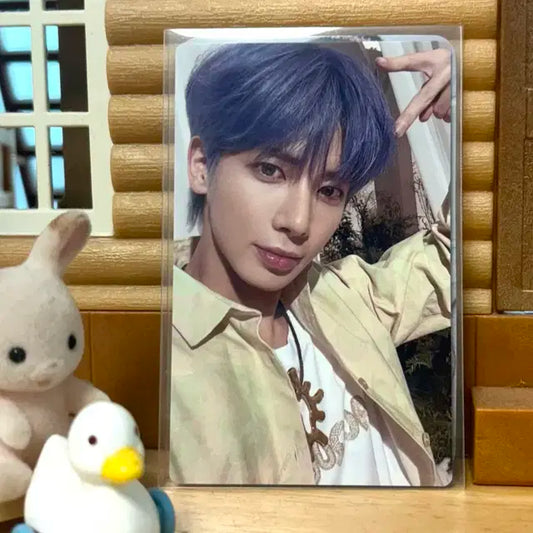 태현포카 양도/급처