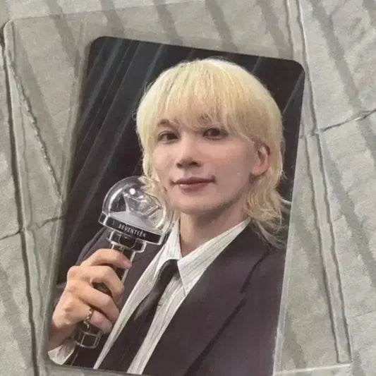 오늘만 이 가격) 고양콘 캐럿존 정한 급처