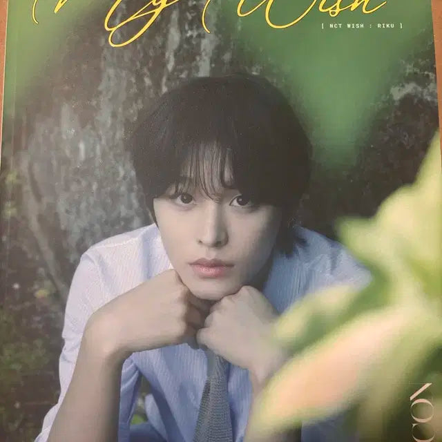 엔시티위시 리쿠 디아이콘 A버전 잡지 , 아이디카드