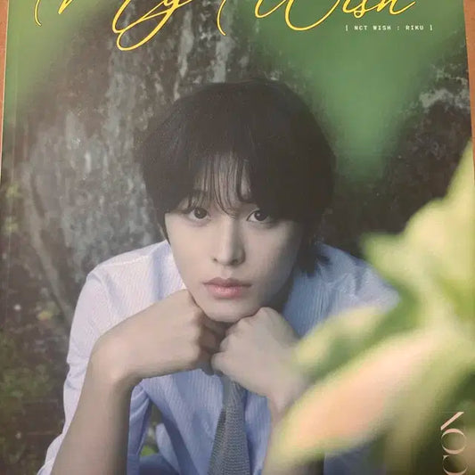 엔시티위시 리쿠 디아이콘 A버전 잡지 , 아이디카드