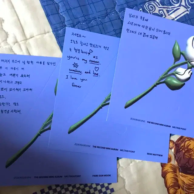 제로베이스원 멜팅포인트크러쉬 개봉앨범 엽서 장미 매튜 디지팩 한유진 네