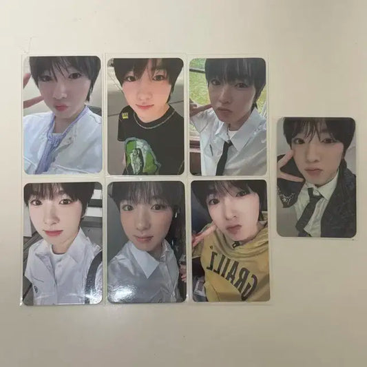사쿠야 포카 일괄 엔시티위시