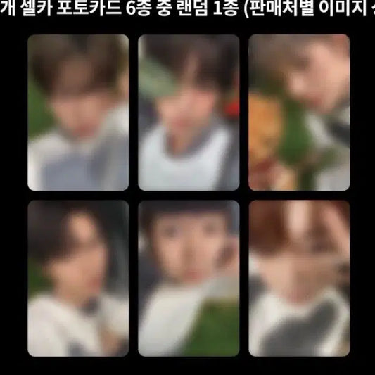 엔시티위시 컬러 분철 포카 미공포 케타포