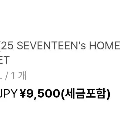 2025 SEVENTEEN's HOME 세븐틴 홈웨어 포카 분철