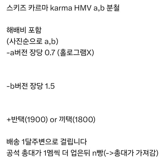 스키즈 카르마 karma HMV 분철