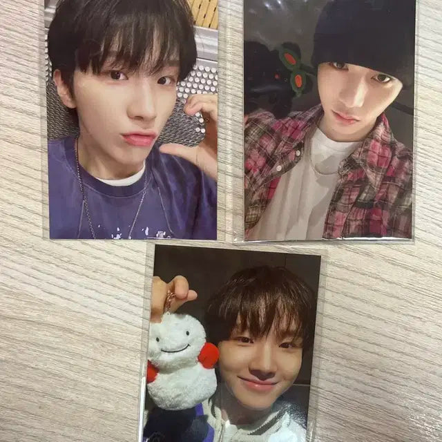 미개봉 보넥도 쁘넥도 포카