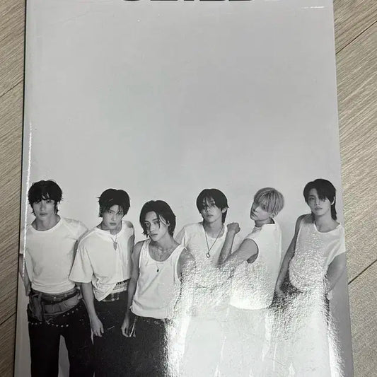 라이즈 앨범