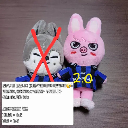 스키즈 카르마 karma 스키주 앨범 양도(NFC참 제외)