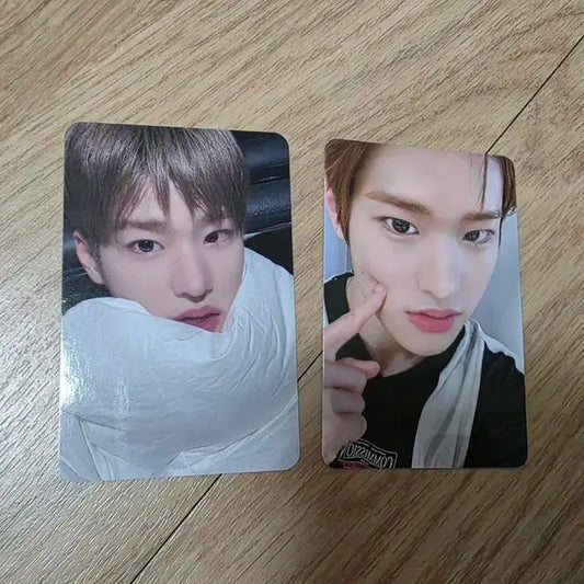 라이즈 소희 이불포카+예티몰 볼콕포카 일괄 양도합니다
