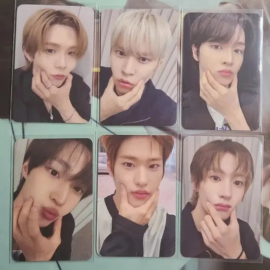 라이즈 메이크스타 분철