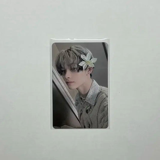 엔하이픈 니키 오렌지 블러드 이즈위 럭키드로우 포카 양도