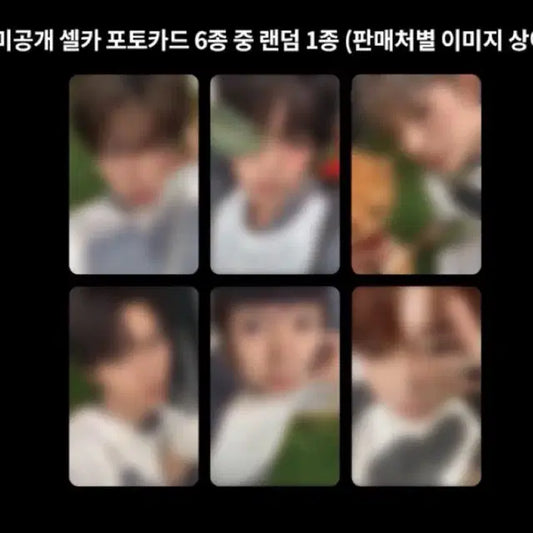 엔시티 위시 케타포 분철