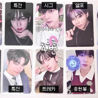 제베원 포카판매 양도 한유진 응원봉 콘서트 세트 판매 ㅅㅊㅇ