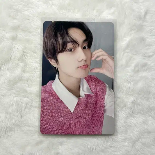 엔하이픈 다크블러드 이즈위 양도 정원