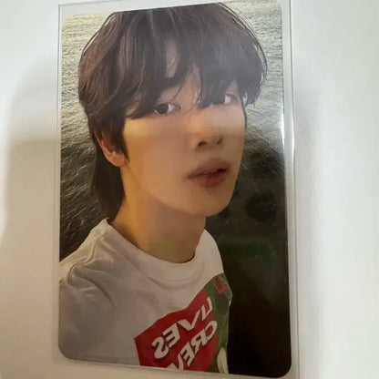 급처) 라이즈 포카 일괄 판매 덤 많이 드려욤ㅜㅜ