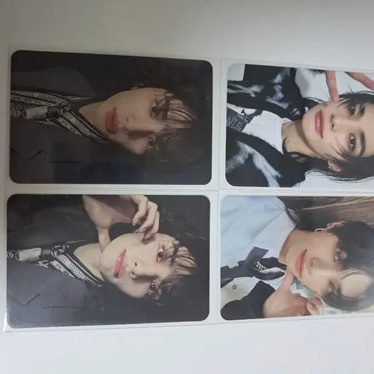 현진 합 포카