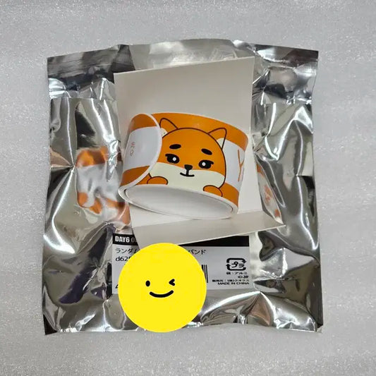 데이식스 일본MD 원터치 손목밴드 케 영케이