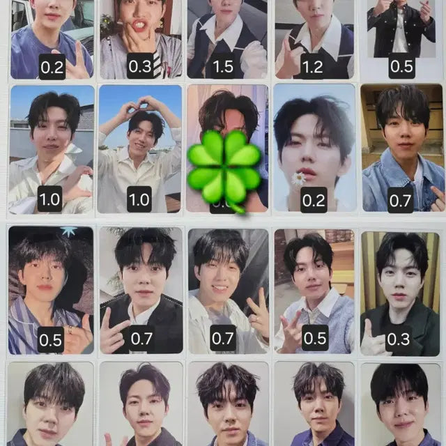 데이식스 도운 포카 MD 앨범 구성품 양도