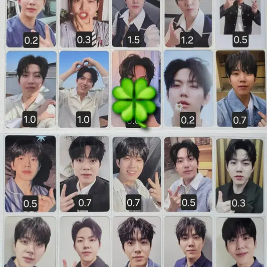 데이식스 도운 포카 MD 앨범 구성품 양도