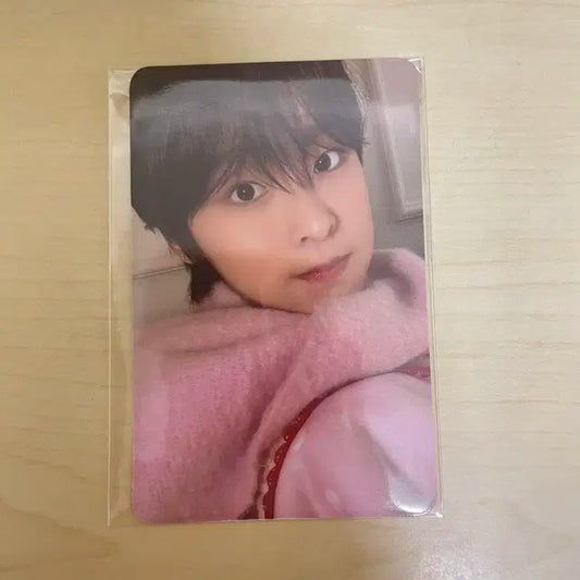 엔시티위시 nct wish 포토카드 포카 리쿠 핑크 크리스마스