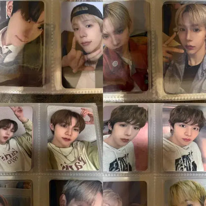 쇼타로 포카 양도