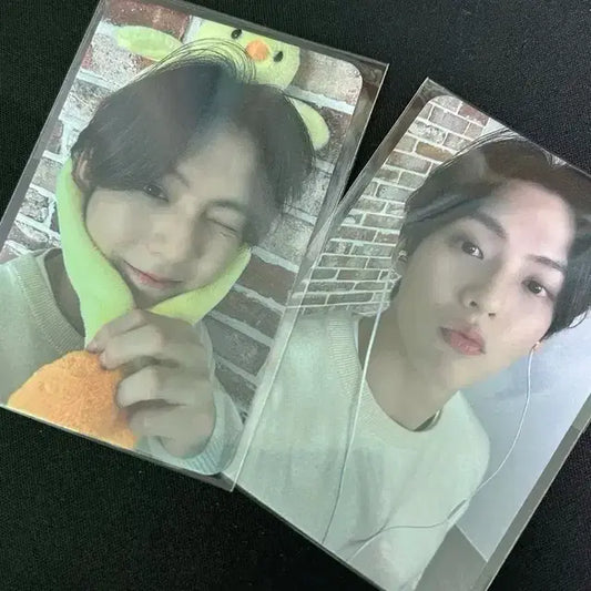 비투비 콘서트 포카 이민혁