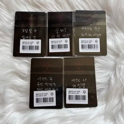 플레이브 MD 특전 와치미우 포카 포토카드 미개봉 일괄