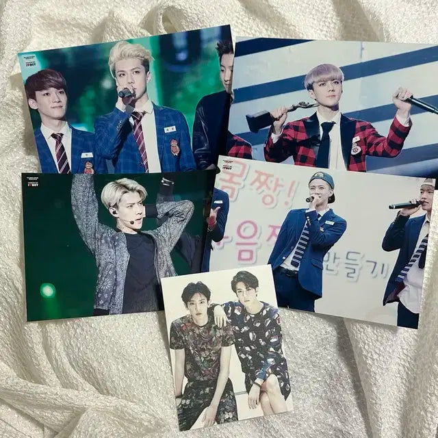 엑소 세훈 인화사진 & 엽서 exo sehun printed photo