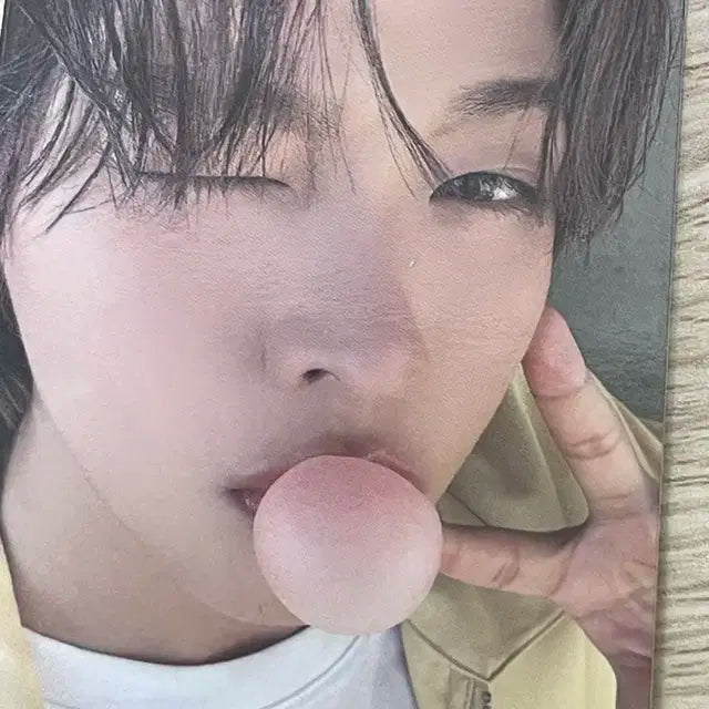 팝츄 리쿠 포카