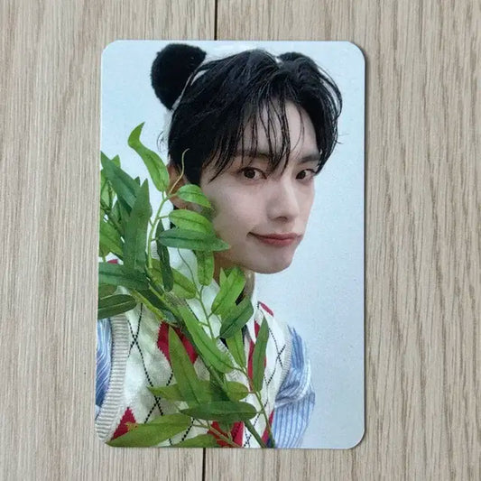 에이스 박준희 마이걸 에버라인 에이바오 버전 미공포 특전 포카