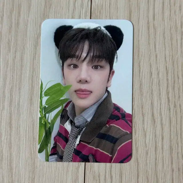 에이스 김병관 마이걸 에버라인 에이바오 버전 미공포 특전 포카