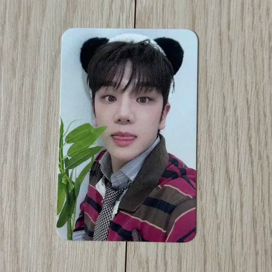 에이스 김병관 마이걸 에버라인 에이바오 버전 미공포 특전 포카