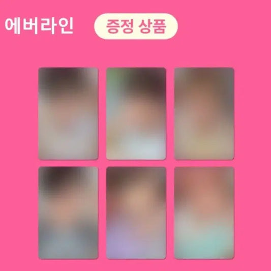 에버라인 료 위시 분철