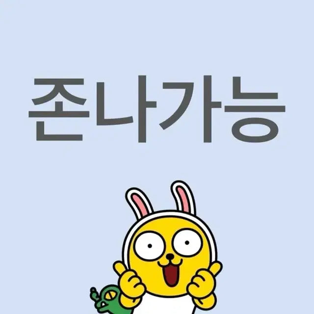 플레이브 카라비너 슈참