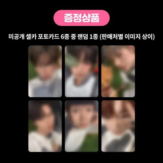 컬러 케타포 재희 분철