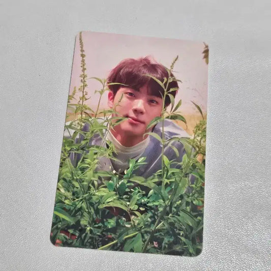 BTS 방탄 진 jin 럽유셀 love yourself her 포토카드
