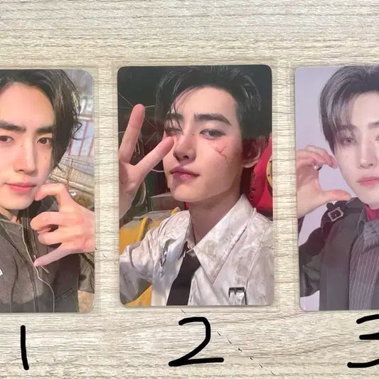 엔하이픈 박성훈 포카