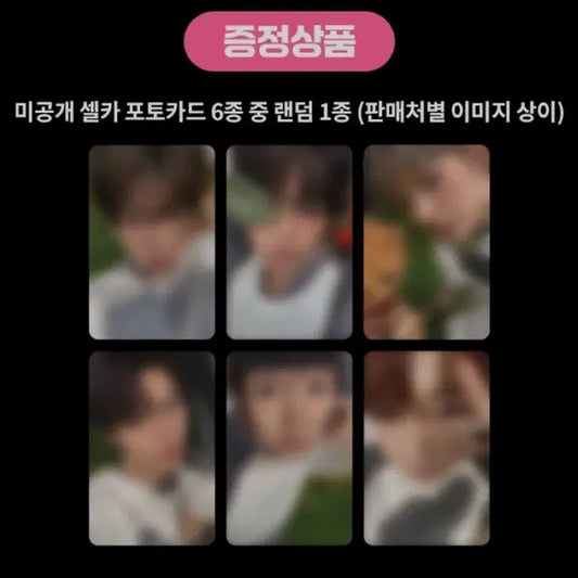 엔시티위시 color 쥬얼 케타포 분철