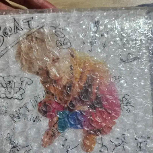 엔시티드림 비트박스 디지팩 지성 미개봉