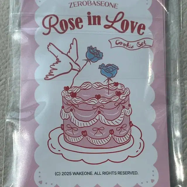 제로베이스원 Rose in love 포토카드 9종 전멤버 미개봉 일괄